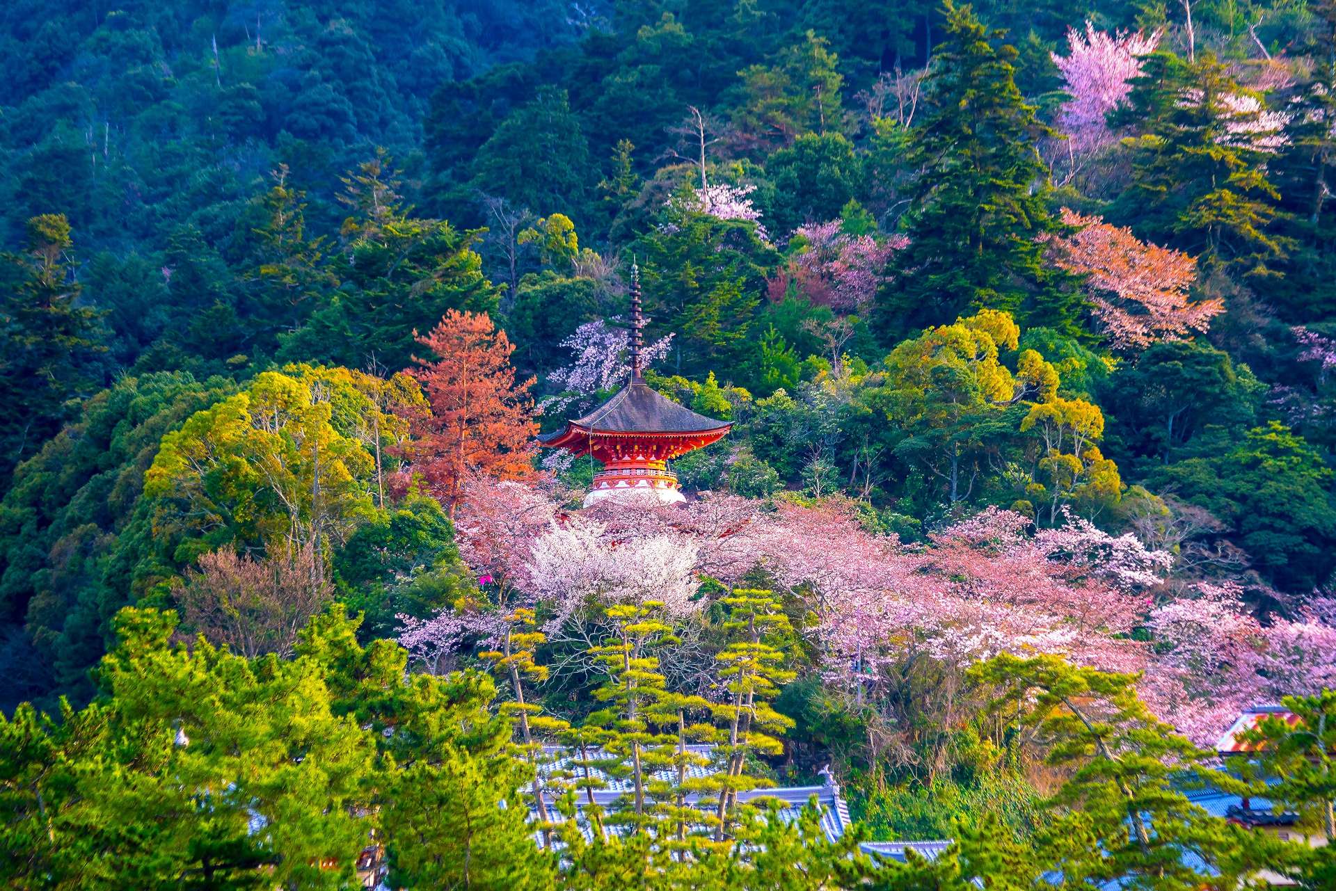 Beautiful Nature in Japan – 日本の美しい自然 –